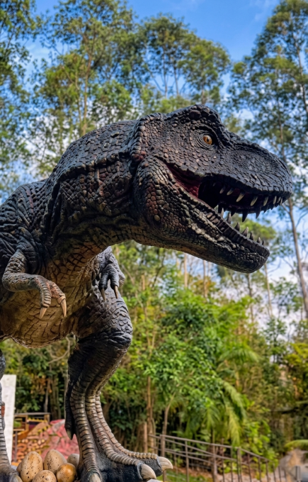 Gemini_Generated_Image_oly2ykoly2ykoly2